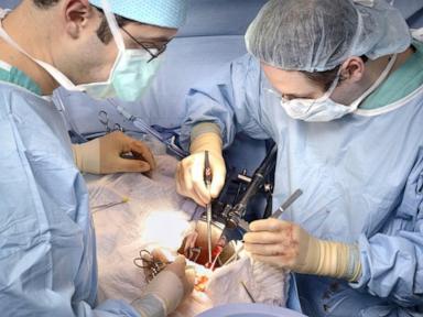 kidney-transplants-are-safe-between-people-with-hiv,-new-us-study-shows