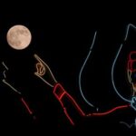 photo-collection:-supermoon