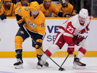 copp’s-2-goals-lead-red-wings-over-reeling-predators-5-2