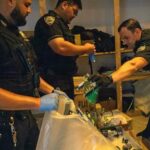 a-new-york-city-law-used-to-padlock-suspected-illegal-pot-shops-is-ruled-unconstitutional