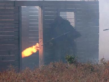 germany’s-top-diplomat-is-in-kyiv-as-ukraine-girds-for-impact-of-us-election-on-the-war