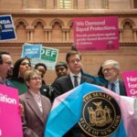 new-yorkers-may-change-their-constitution-to-ban-discrimination-over-‘pregnancy-outcomes’