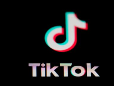 canada-orders-tiktok’s-canadian-business-to-be-dissolved-but-won’t-block-app