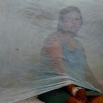 dengue-cases-set-a-new-record-in-the-americas-this-year-as-deaths-also-surge