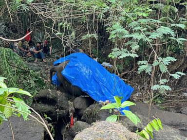 a-zoo-elephant-dies-in-indonesia-after-being-swept-away-in-a-river
