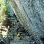 giant-sloths,-mastodons-coexisted-with-humans-for-millennia-in-americas