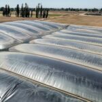 environmental-groups-sue-over-california-support-for-polluting-biofuels
