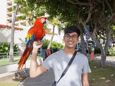 ex-openai-engineer-who-raised-legal-concerns-about-the-technology-has-died