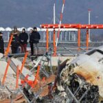 south-korean-crash-report:-bird-remains-in-engines,-but-cause-still-unclear