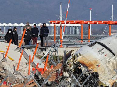 south-korean-crash-report:-bird-remains-in-engines,-but-cause-still-unclear