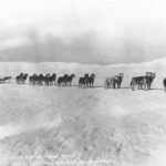 mushers-and-dogs-braved-a-horrific-alaska-winter-to-deliver-lifesaving-serum-100-years-ago