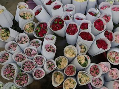 french-group-issues-valentine’s-day-warning-that-cut-flowers-have-a-variety-of-pesticides
