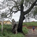 south-african-ngos-worry-trump’s-aid-freeze-will-cause-hiv-patients-to-default-on-treatment