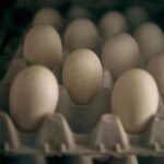 agriculture-department-tries-to-rehire-fired-workers-tied-to-bird-flu-response