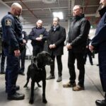 following-us-lead,-canada-designates-7-latin-american-criminal-groups-as-terrorist-entities