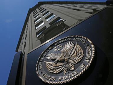 va-pauses-billions-in-cuts-lauded-by-musk-as-lawmakers-and-veterans-decry-loss-of-critical-care