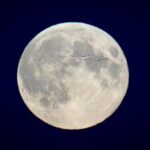 here’s-a-look-at-moon-landing-hits-and-misses