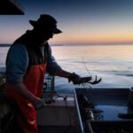 lobster-fishermen-can-sue-environmental-group-for-defamation,-judge-says