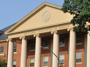 senate-panel-questions-trump-nominee-to-lead-national-institutes-of-health