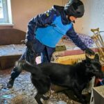 russia-bombards-ukraine-energy-grid-after-zelenskyy-says-team-will-hold-talks-with-us