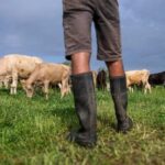 does-eating-grass-fed-beef-help-the-planet?-research-says-not-so-simple