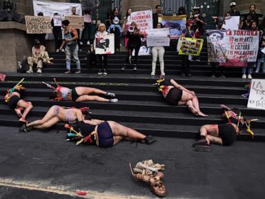 mexico-city-bans-violent-bullfighting,-sparking-fury-and-celebration