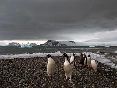 fear-at-isolated-antarctica-base-as-man-accused-of-attacking-colleague,-threats
