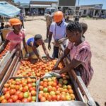 electric-tricycles-are-a-ticket-to-respect-and-prosperity-for-some-rural-women-in-zimbabwe