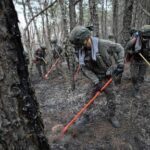 south-korea’s-worst-wildfires-are-now-almost-contained-following-rain-and-cooler-weather
