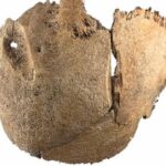 a-mass-grave-for-fighters-in-a-roman-empire-era-battle-is-revealed-in-vienna