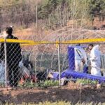 pilot-dies-after-his-helicopter-crashes-while-extinguishing-fire-in-south-korea