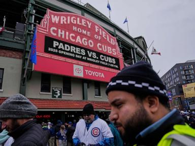 geese-make-nest-next-to-iconic-wrigley-field-bleachers-during-chicago-cubs-games