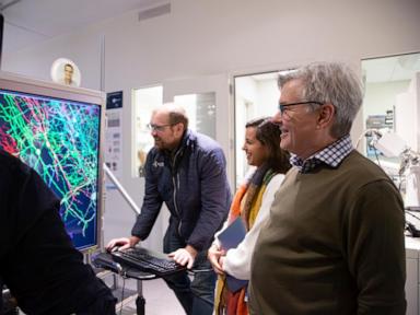 scientists-map-part-of-a-mouse’s-brain-that’s-so-complex-it-looks-like-a-galaxy