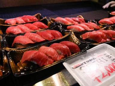 a-machine-using-ultrasound-and-ai-can-gauge-the-fattiness-of-a-tuna-fish