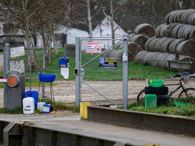 central-europe-foot-and-mouth-disease-outbreak-leads-to-animal-culls,-border-closures