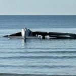 a-thai-police-plane-crashes-in-the-sea,-killing-at-least-5-on-board
