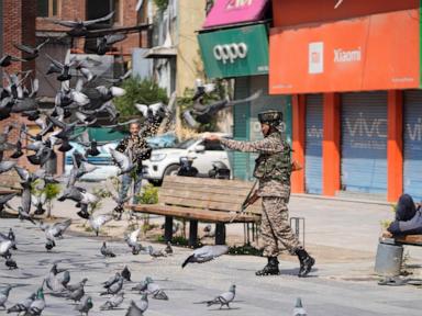 after-days-of-heavy-firefights,-calm-reported-along-indian-and-pakistan-borders