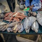 foreign-overfishing-in-senegal-fuels-migration-to-spain,-a-report-finds
