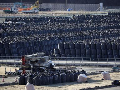 japan-to-use-slightly-radioactive-soil-from-fukushima-on-flowerbeds-at-prime-minister’s-office