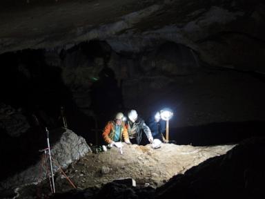 scientists-date-the-oldest-known-tools-made-from-whale-bones-to-20,000-years-ago