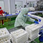 china’s-factory-activity-contracts-in-may,-but-there-are-signs-of-improvement