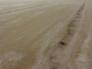 archaeologists-find-new-evidence-of-ancient-slave-labor-in-southern-iraq