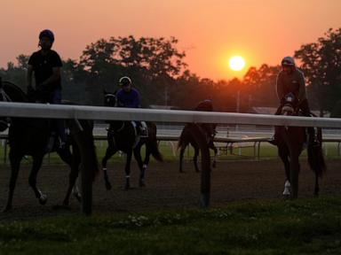 belmont-stakes-at-saratoga-is-a-kentucky-derby-rematch