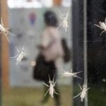 japan’s-osaka-expo-halts-water-shows-over-high-bacteria-levels