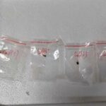 us-reports-the-arrest-of-another-chinese-scientist-with-no-permit-to-send-biological-material