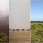 early-humans-adapting-to-extreme-habitats-set-stage-for-global-migration:-researchers