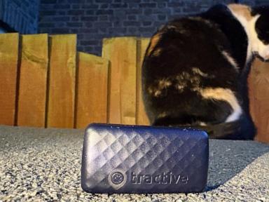 one-tech-tip:-no-more-lost-cats-and-dogs.-use-tech-to-track-your-pet