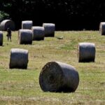 health-officials-issue-warnings-as-uk-bakes-in-the-first-heat-wave-of-2025
