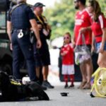 some-sniffer-dogs-at-club-world-cup-outfitted-with-booties-to-protect-paws-from-heat