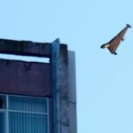 german-foreign-minister-visits-kyiv,-pledges-continued-support-for-ukraine